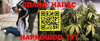 крисы Донской