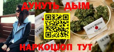 спиды Дубна