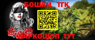 спиды Дубна