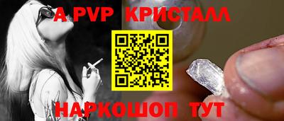 спиды Дубна