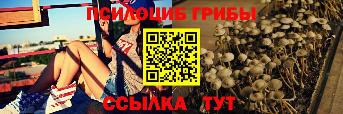 Галлюциногенные грибы GOLDEN TEACHER  Вход с VPN  Лесосибирск  Галлюциногенные грибы Psilocybine cubensis 
