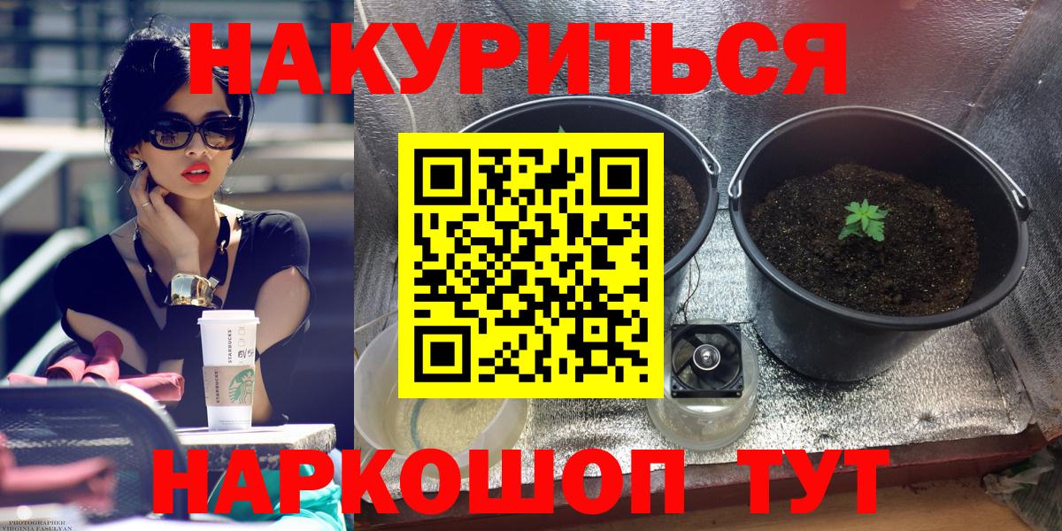 Бошки Шишки конопля  Шишки марихуана план  Марихуана гибрид  Лесосибирск  Вход с VPN 